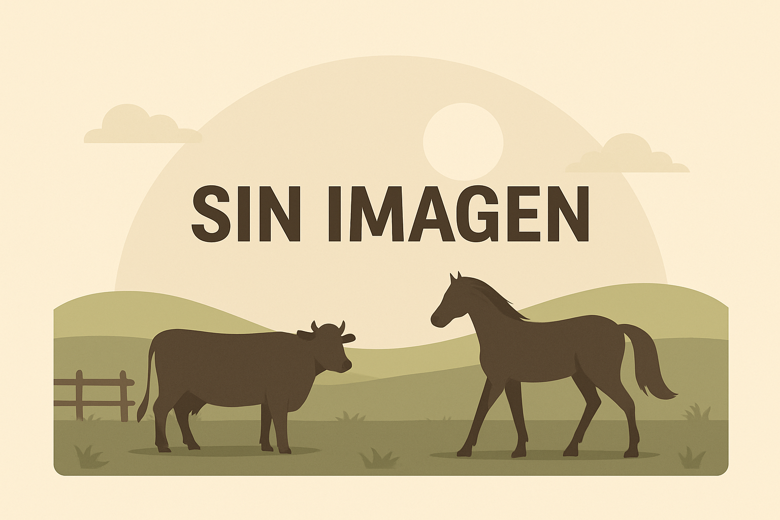 Imagen de la publicación