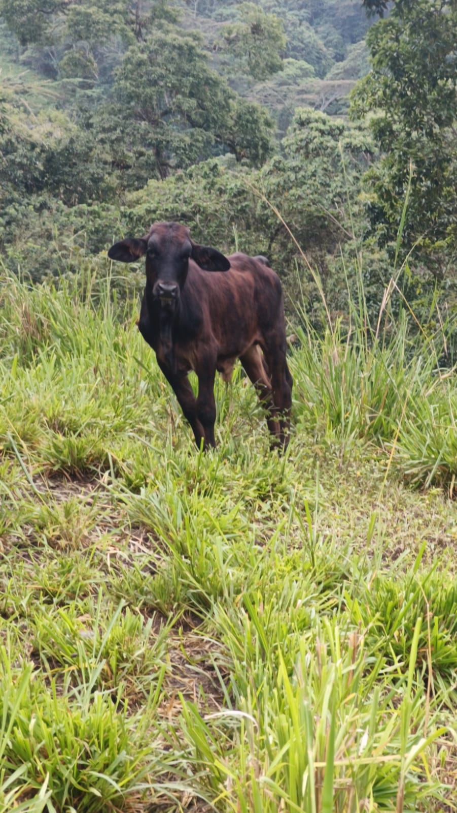 Imagen de la publicación